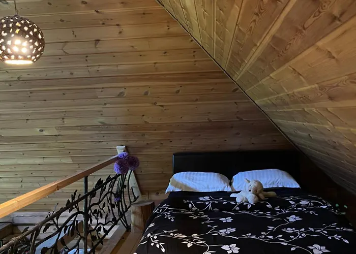 Oanduaia Saunamaja Holiday home